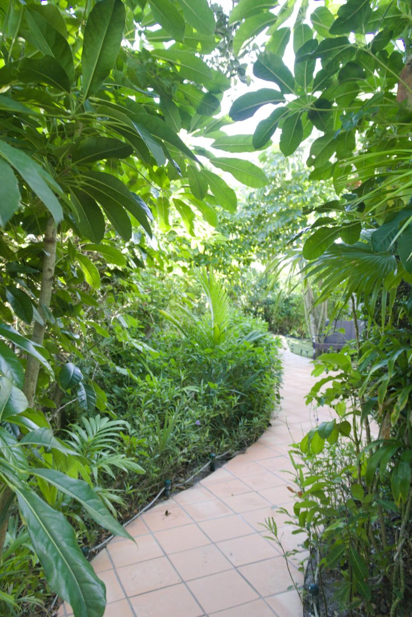 The Caribbean Court Boutique Hotel Веро Бийч Екстериор снимка