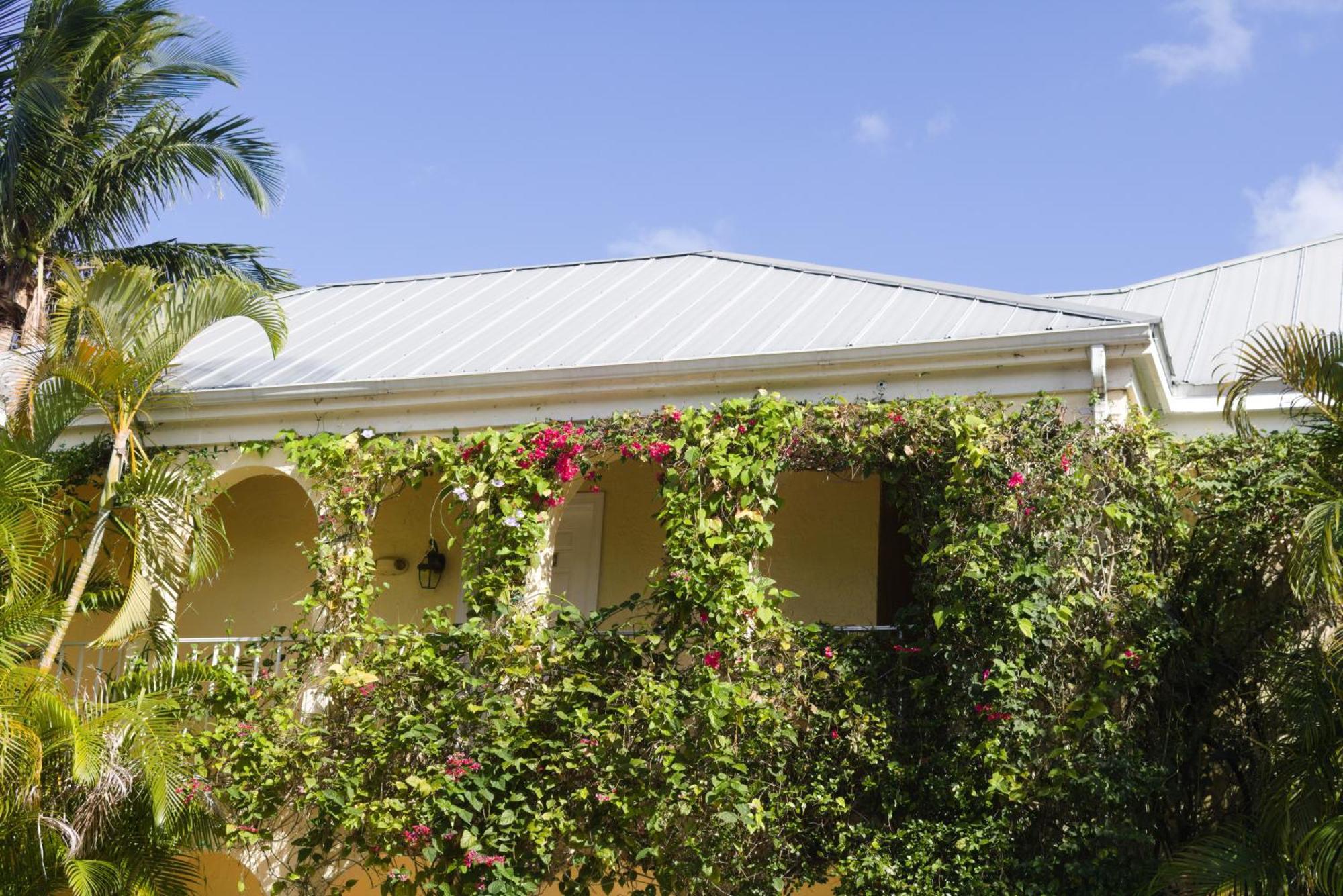 The Caribbean Court Boutique Hotel Веро Бийч Екстериор снимка